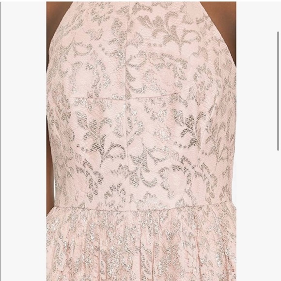 Shoshanna Midnight Algeria Lace Halter Dress Size 6 Blush Pink from Revolve - Picture 10 of 10